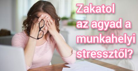 disco t&aacute;nc, disco t&aacute;nctanfolyam, disco t&aacute;ncoktat&aacute;s, egy&eacute;ni okat&aacute;s, egy&eacute;ni t&aacute;ncoktat&aacute;s,
disco t&aacute;nciskola, disco t&aacute;nc iskola, disco t&aacute;nc tanfolyam mforce,
diszk&oacute;t&aacute;nc tanfolyam, diszk&oacute; t&aacute;nctanfolyam, diszk&oacute; t&aacute;nc tanfolyam,
diszk&oacute; t&aacute;nc tanfolyam mag&aacute;n t&aacute;nctan&aacute;rral,
diszk&oacute;t&aacute;nc iskola, diszk&oacute; t&aacute;nciskola, diszk&oacute; t&aacute;nc suli, disco t&aacute;nc suli,
disco t&aacute;nc tanfolyam magyarorsz&aacute;g, diszk&oacute; t&aacute;nc tanfolyam budapest, disco t&aacute;nctanfolyam budapest,  disco t&aacute;ncoktat&aacute;s budapest, diszk&oacute; t&aacute;ncoktat&aacute;s budapest,
